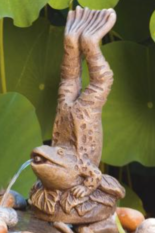 Handstand Frog - Plumbed - 9695