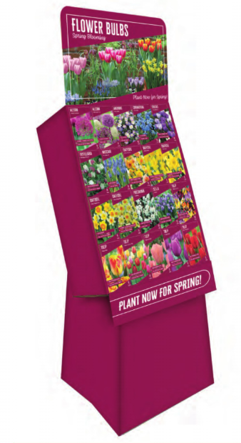 Netherland Bulb - Assorted Bulbs - Complete Assortment - 8003901673