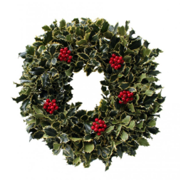 20" Holly Wreaths - Assorted Styles - 42714-8526
