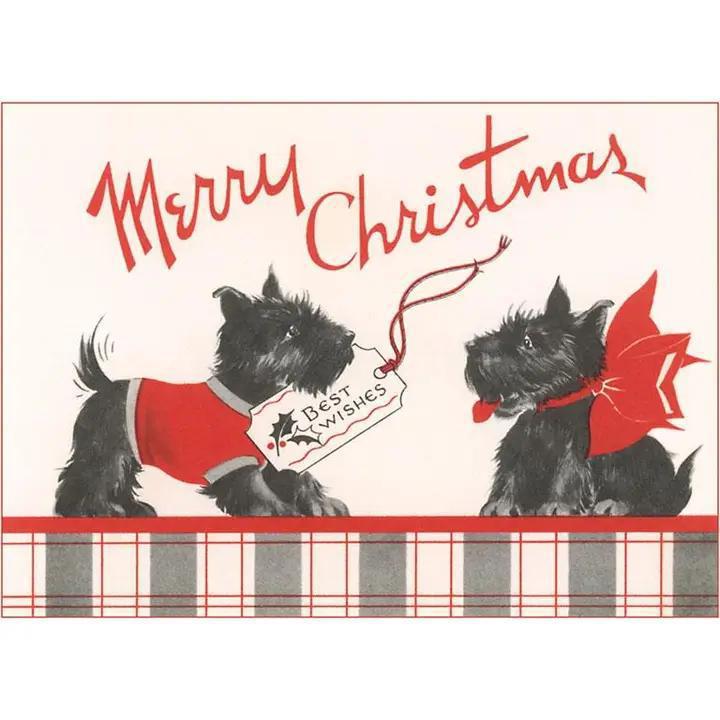 Found Image Press - Greeting Card MC-464 Scottie Dog Puppies with Card - MC-00464-NC0601