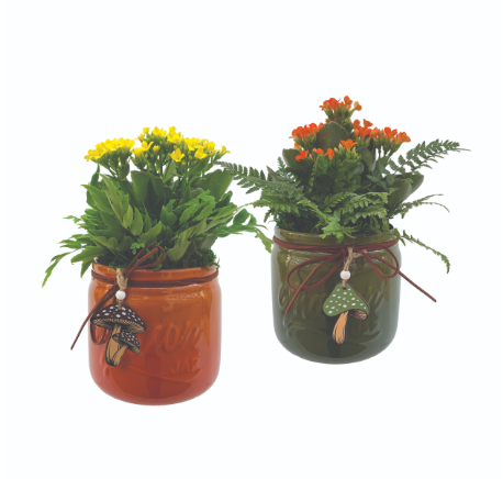 5.25" Fun Guy Mushroom Mason Planter - S5938