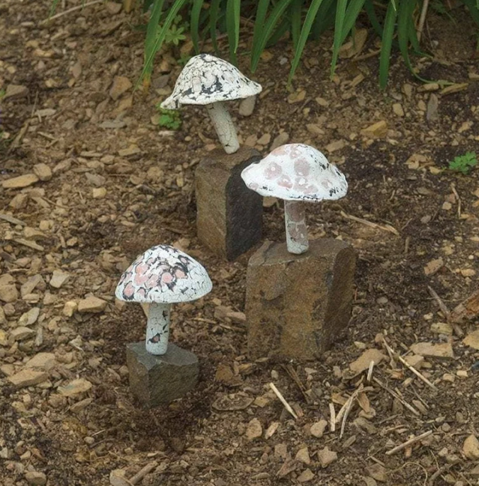 Ancient Graffiti - Little Fungi on Stone Small - 12511