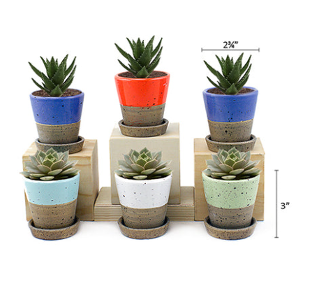 Land & Sea - Mini Pots w/ Saucer - MP4