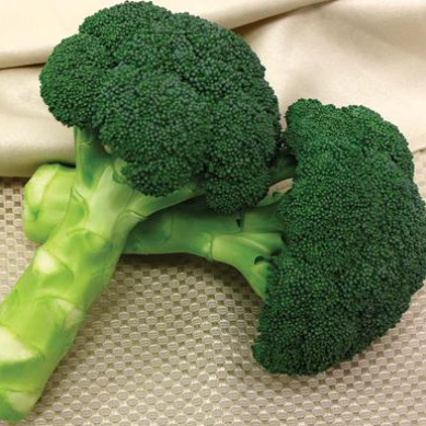 3.5" Veggie - Broccoli - Green Magic