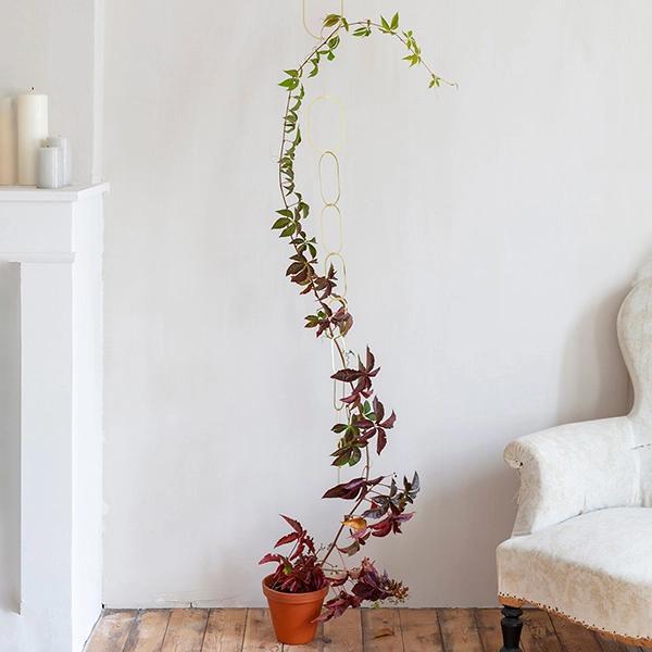Botanopia Brass Chain Plant Support - Thumbnail 3