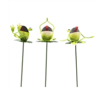 Metal Yoga Frog Picks - 3 Assorted Styles - OSW200867