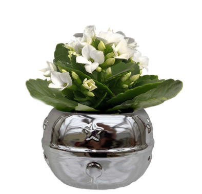 2.5" Chime Belle Mini - S4722