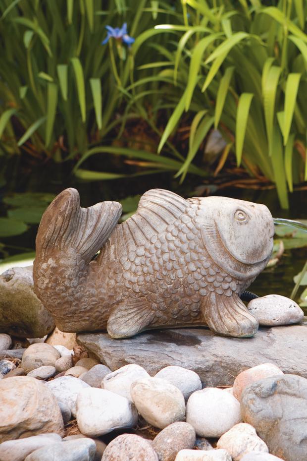Massarelli's - Koi - Plumbed - Detailed Stain 9685