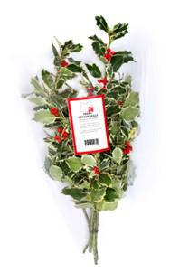 Berried Variegated Holly 4-5 Stems Sleeved 5531