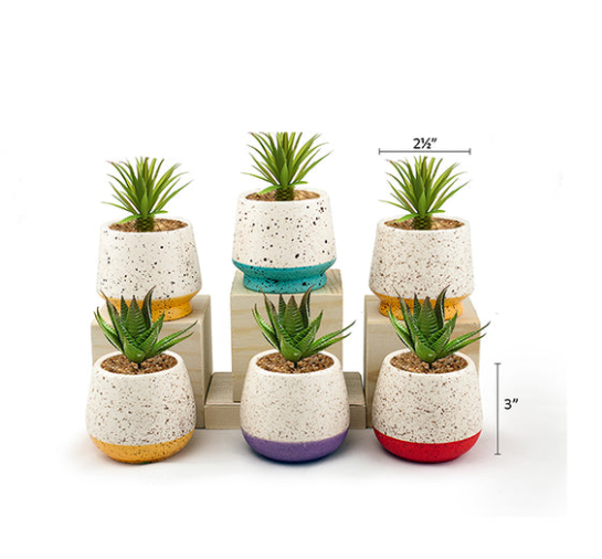 Land & Sea - Mini Pots w/ Colored Base - MP5
