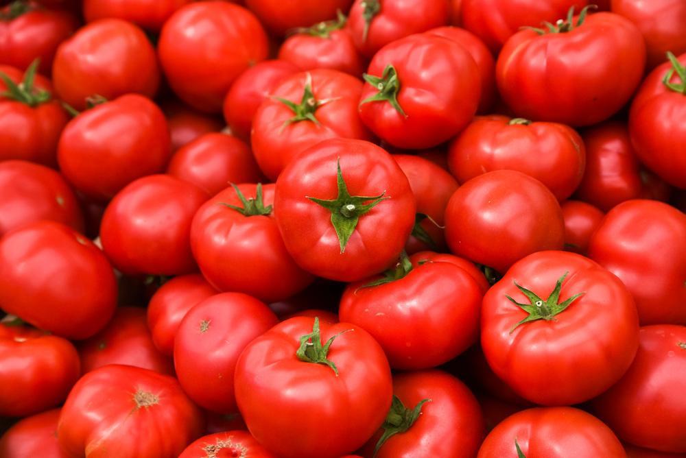Tomatoes (Local, Hollis, NH) by the pound