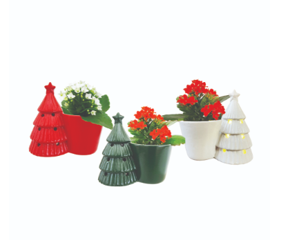 3.5" Light Up Ceramic Tree Planter w/ Plant - Assorted Styles ( Sold Individually ) - S5920