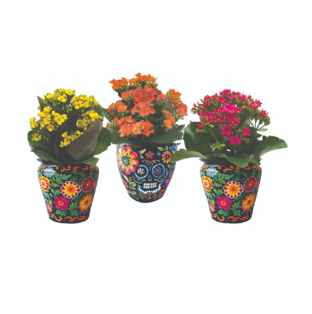 4" Pepita Day of the Dead - S5941