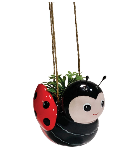 Streamline Imagined - Mini Bee or Mini Ladybug Hanging Planter ( Sold Individually ) - APL236