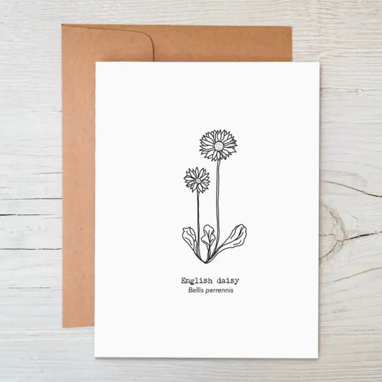 Raven's Edge Studio - Plantable Wildflower Seed Card | Eco Card | English Daisy