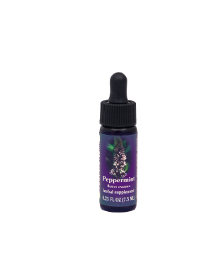 FES Quintessential Essences - Peppermint 1/4 oz - 24447