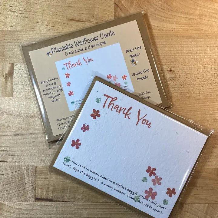 Raven's Edge Studio - Plantable Thank You Notecards | Wildflower Cards | Pink Flowers| Set of 6