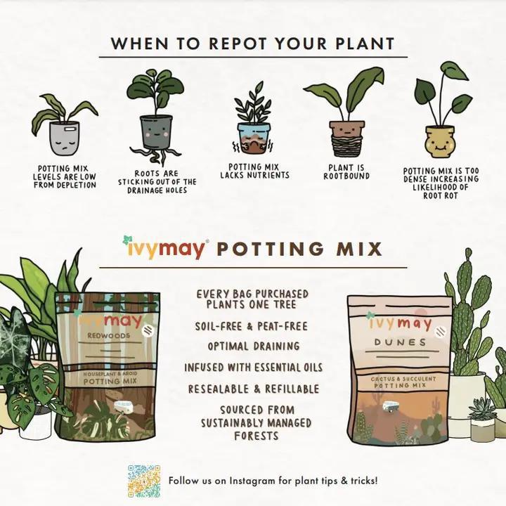 Ivy May Co - Bulk Soil - Premium Houseplant & Aroid Potting Mix