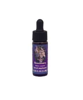 FES Quintessential Essences - Rosemary 1/4 oz - 24515