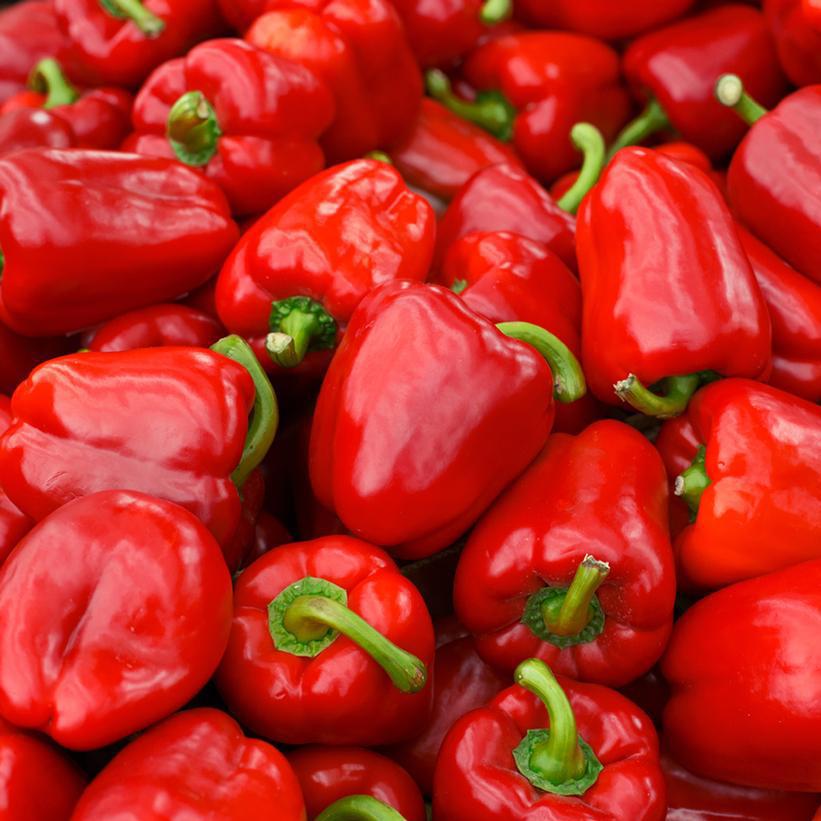 1G Pepper 'Red Delicious' - Sweet - 1005395