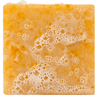 Dr. Squatch - Grapefruit IPA Bar Soap 5 oz - WH-BAR-GPF-01