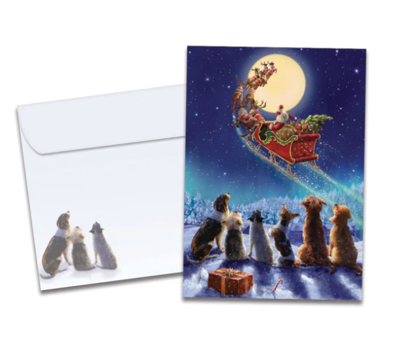 Tree-Free Greetings - Christmas - Dog Magic - 222167