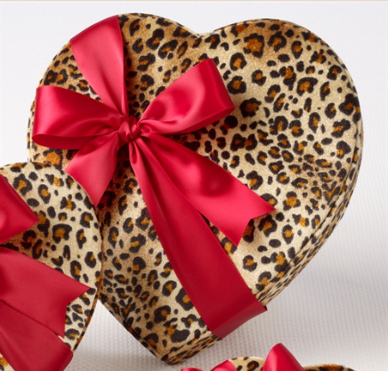 Sweet Shop USA - Assorted Truffles in Leopard Print Heart Shaped Box 7 oz ( 14 Pieces ) - F102141327525