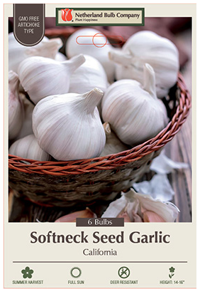 Seed Garlic California Softneck Bulbs - 6 Count - 1153100770