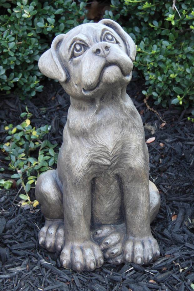 Massarelli's - 13" Puppy - Boxer 2180
