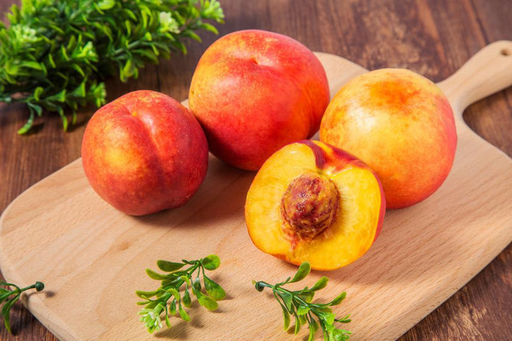 7G Prunus X 'Independence' - Nectarine Self Pollinating - 1001624
