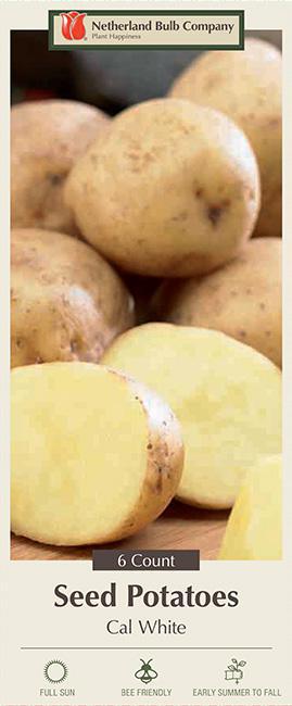 Cal White 6 Seed Potatoes P-30