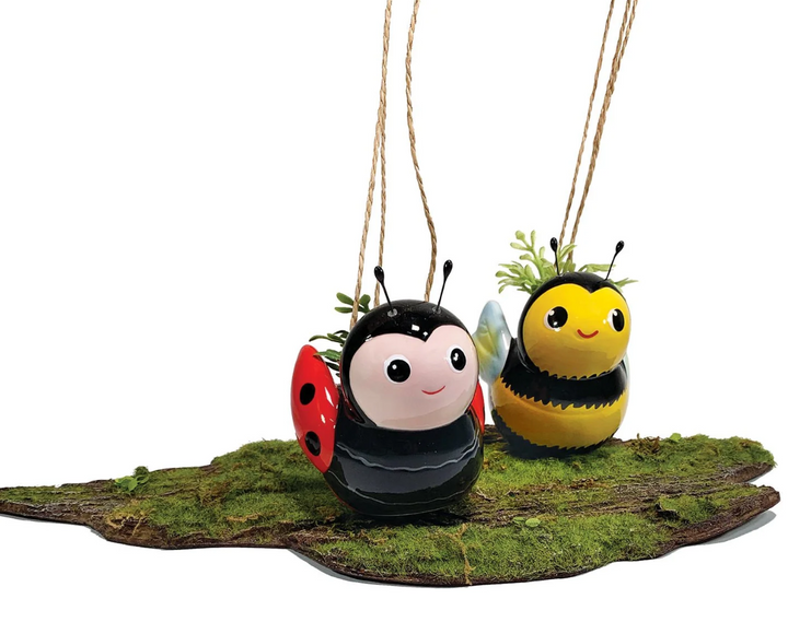 Streamline Imagined - Mini Bee or Mini Ladybug Hanging Planter ( Sold Individually ) - APL236