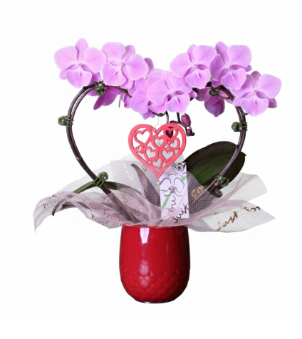 3" Orchid Phalaenopsis - Heart Shaped w/ Ceramic Pot - T3082