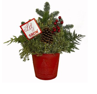 Porch Pot Assortment - 71821-8510