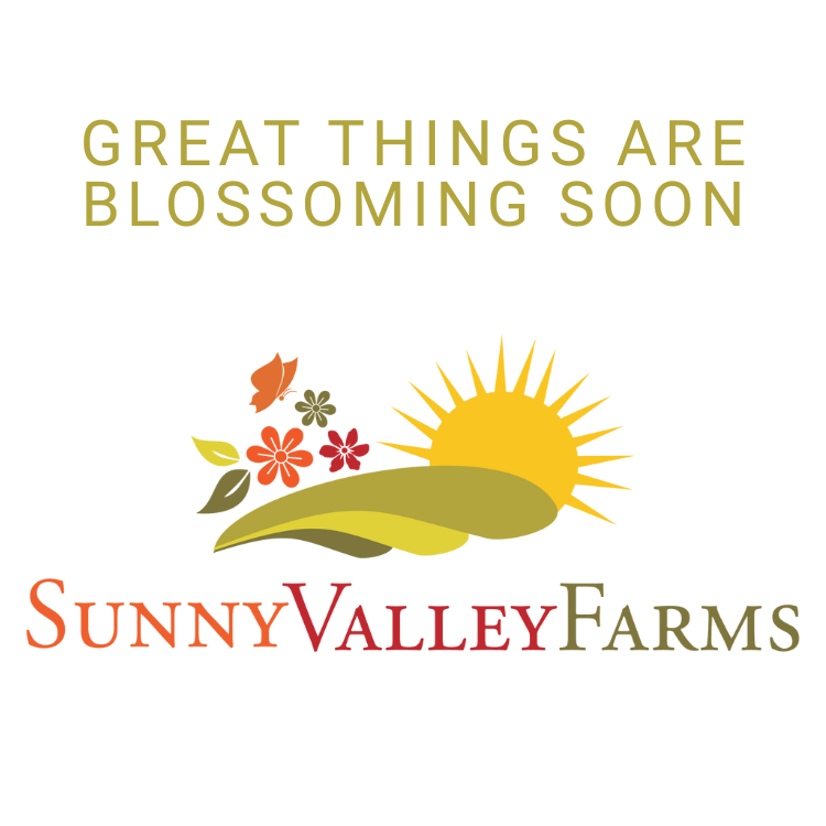 Arndt's Fudgery Amish Made Strawberry Butter 8oz DISSVF