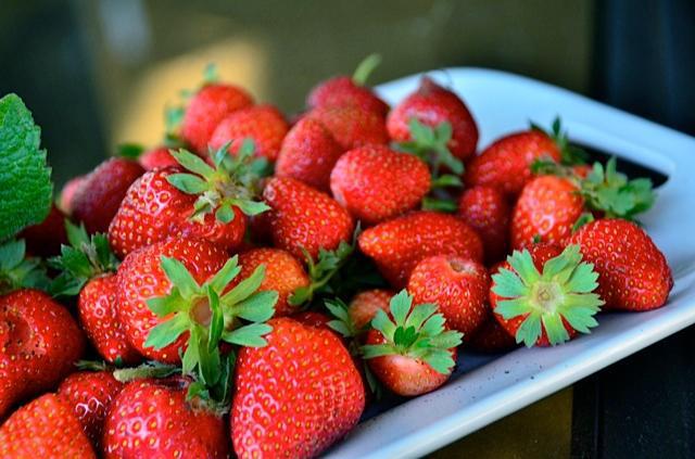 1G Strawberry 'Seascape' - 1006885