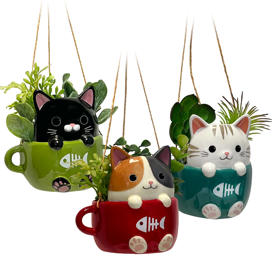 Streamline Imagined - Cat in Cup Mini Hanging Planter - Assorted Styles ( Sold Individually ) - APL356