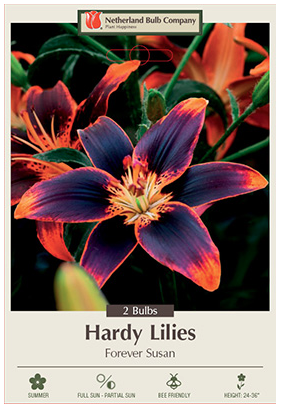 Lily - Forever Susan Bulbs - 2 Count - 3820162770