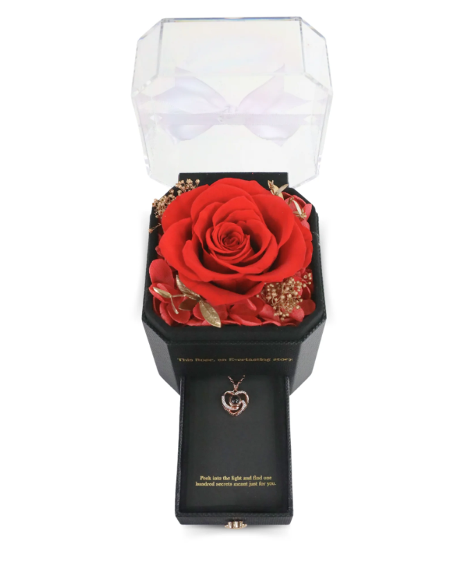 Mossify - Everlasting Memories Red Rose - RSE-PR-0001