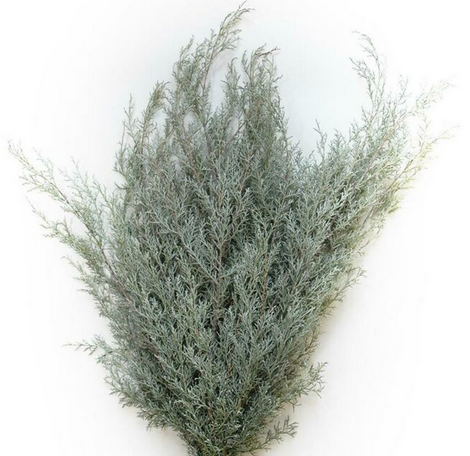 Carolina Sapphire Bunches