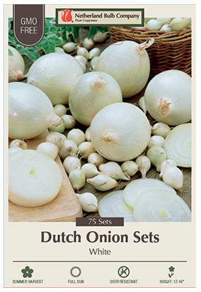 Onion Sets Snowball Bulbs - 75 Count - 4420104770
