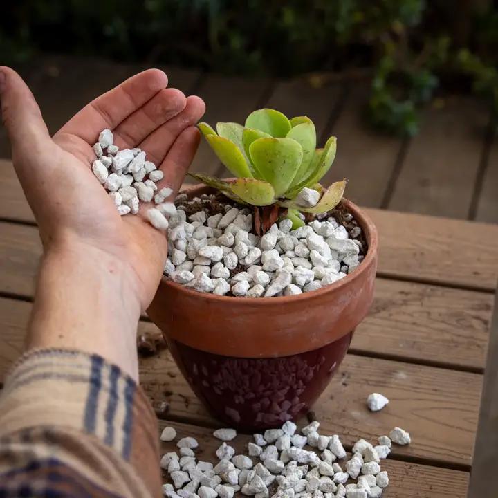 Ivy May Co - Bulk Amendments – 3/8" Screened Horticultural Pumice