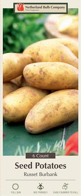 Russet Burbank 6 Seed Potatoes - P-30 - 5440107774