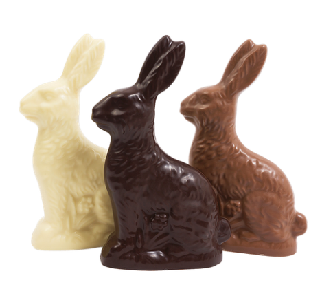 Van Otis - Large Traditional Bunny - Milk Chocolate 8oz 6204