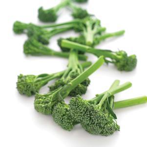 1G Broccolini 'Aspabroc' - 1007719