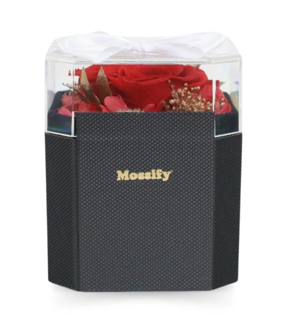 Mossify - Everlasting Memories Red Rose - RSE-PR-0001