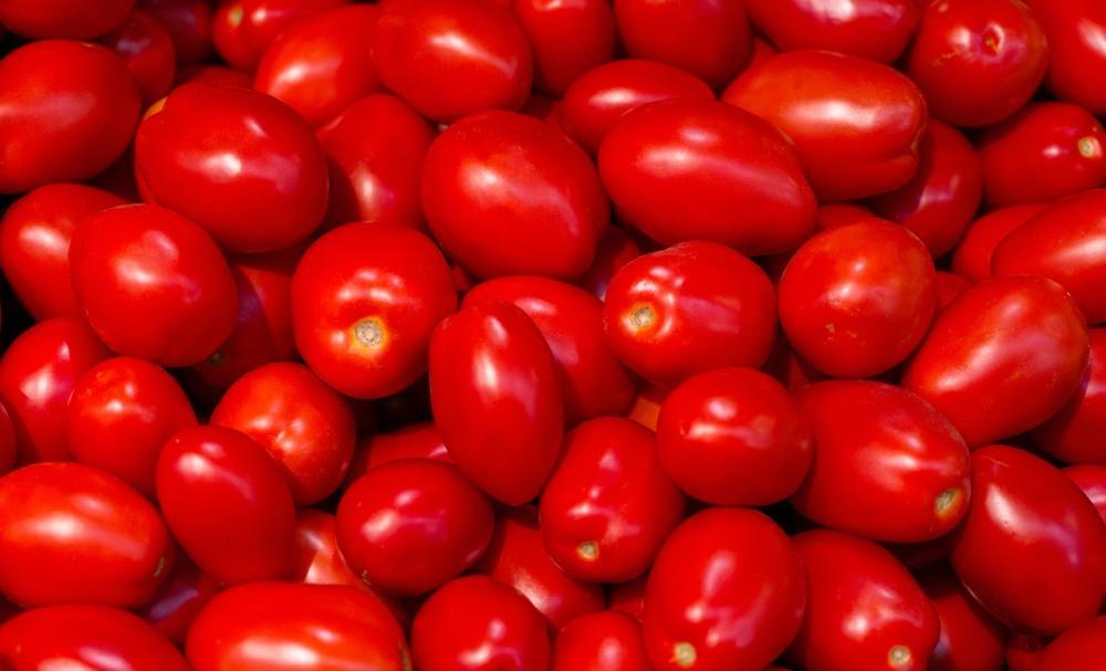 Plum Tomatos (Local, Hollis, NH) by the pound
