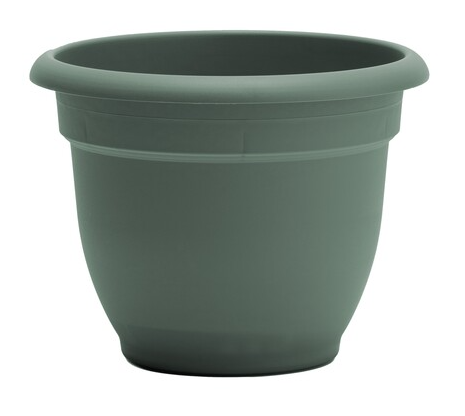 Bloem - 10" Ariana Basil Planter - AP1041 80921451
