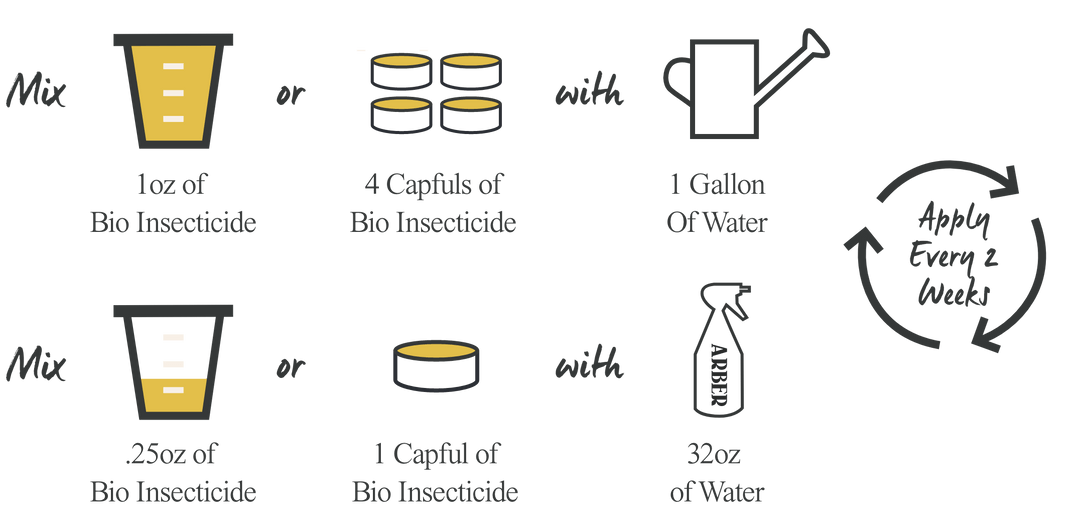 Organic Bio Insecticide - Arber