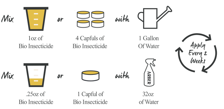 Organic Bio Insecticide - Arber